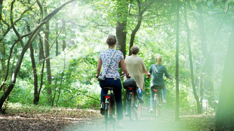 Umwelt - Landal Hunzepark