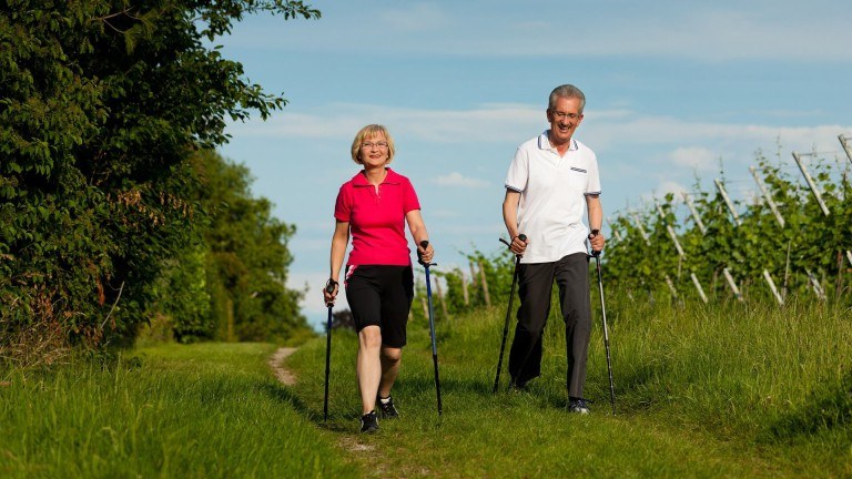Omgeving - Oostappen Vakantiepark Boschbeek