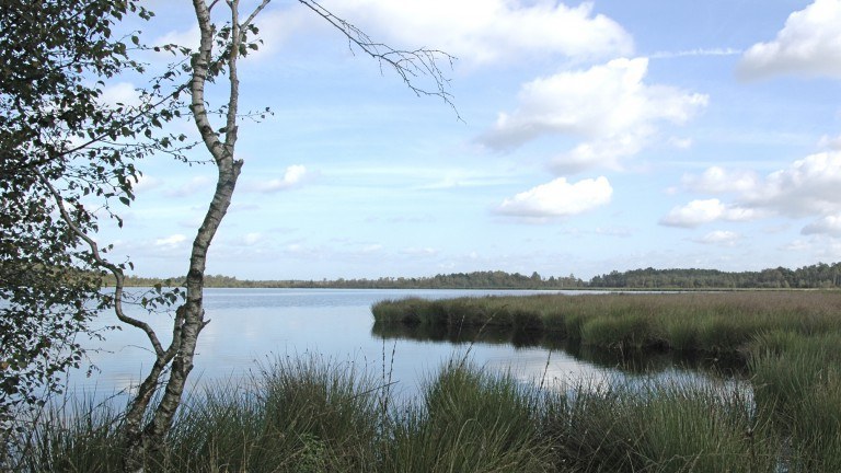 Omgeving - Oostappen Vakantiepark Boschbeek