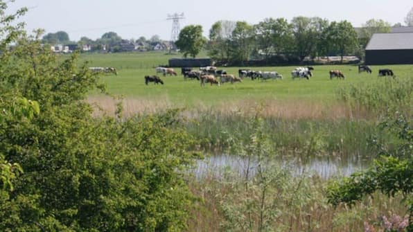 Weiland - Camping de Noorde