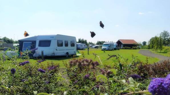 Camping - Vodatent Camping Natuurlijk de Veenhoop