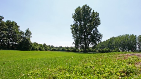Aussicht - Ferienzentrum t Schuttenbelt
