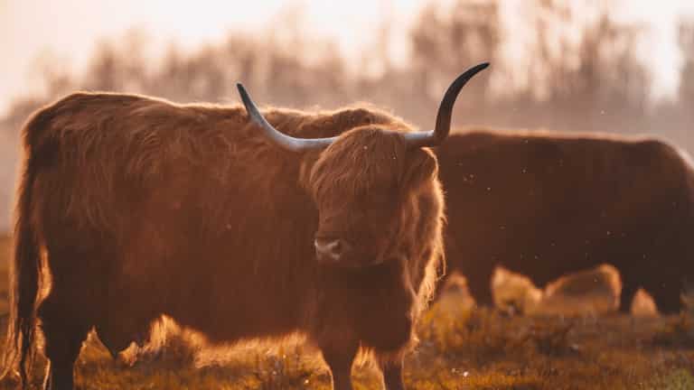 WestCord WTC Hotel Leeuwarden