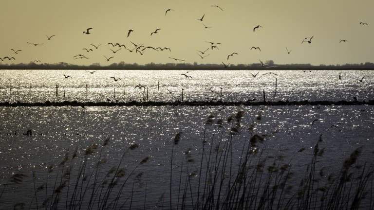 WestCord WTC Hotel Leeuwarden