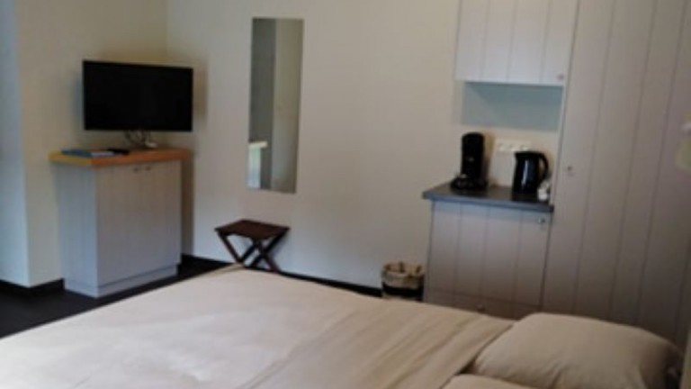 Tweepersoonskamer (met infraroodsauna) - Bed and Breakfast De Oude Winning