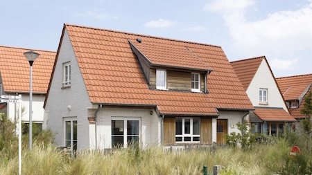 Außenansicht - Roompot Breeduyn Village