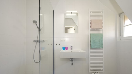 Badezimmer - Roompot Breeduyn Village