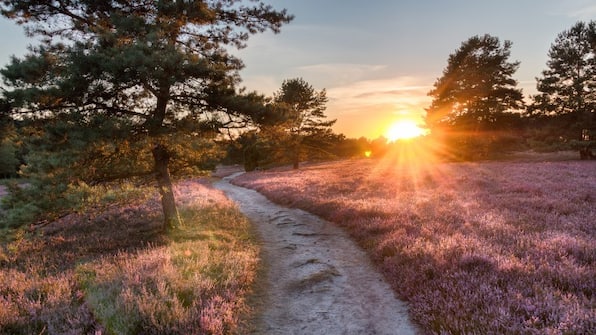 Utrechtse Heuvelrug - Buitenplaats de Bergse Bossen