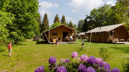 Buitenaanzicht - RCN vakantiepark de Roggeberg Buitenaanzicht - RCN vakantiepark de Roggeberg