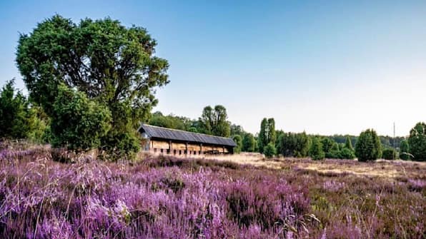 Heide - Vodatent Camping Sonnenberg