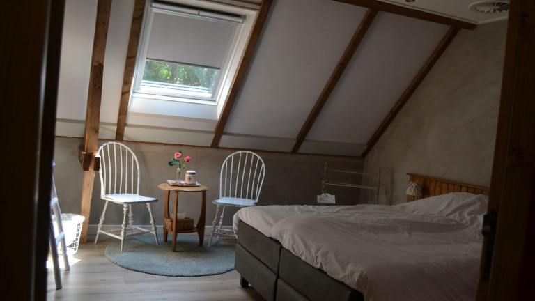 Grote standaardkamer (max. 3 personen) - Bed and Breakfast Aan de Beek