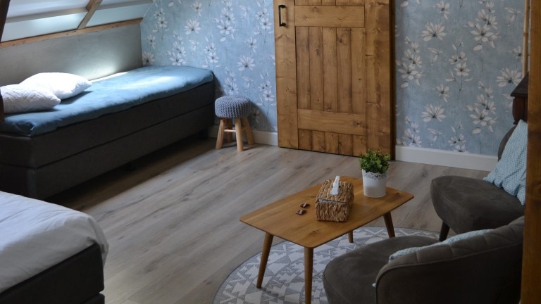 Grote standaardkamer (max. 3 personen) - Bed and Breakfast Aan de Beek