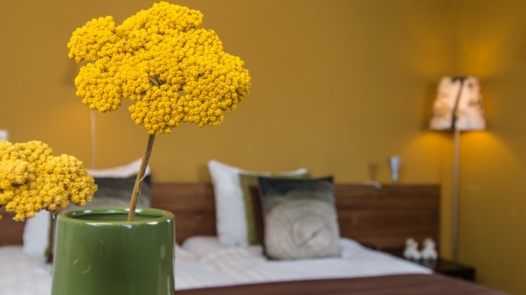 Standardzimmer – It Posthûs