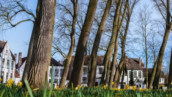 Brugge - ibis budget Brugge Jabbeke