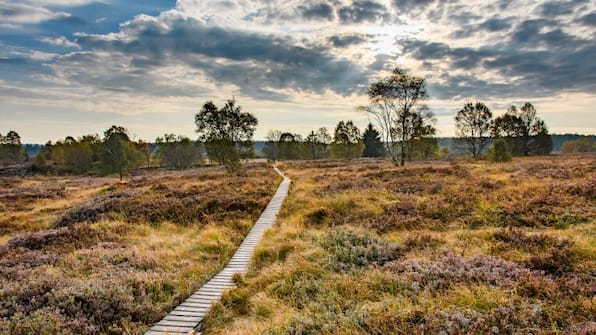 Omgeving - Radisson Blu Balmoral Spa