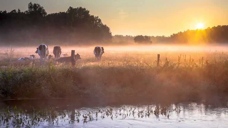 Omgeving - Bed en Broodje Sagenland