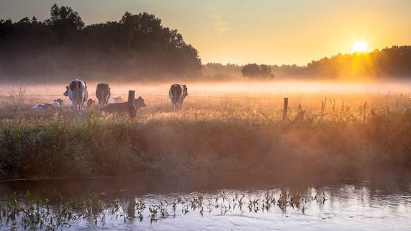 Omgeving - Bed en Broodje Sagenland Omgeving - Bed en Broodje Sagenland