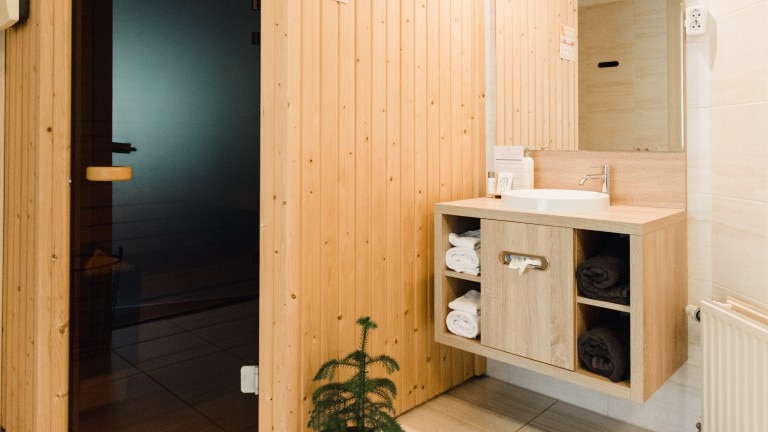 Deluxe kamer met sauna - Witte Berken Natuurhotel