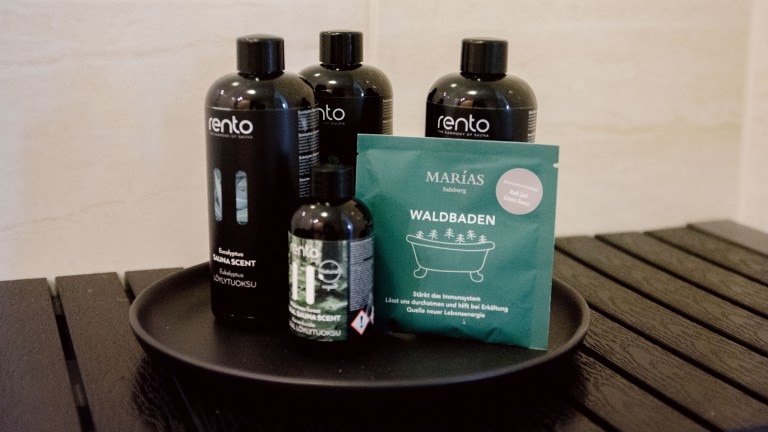 Deluxe kamer met sauna - Witte Berken Natuurhotel