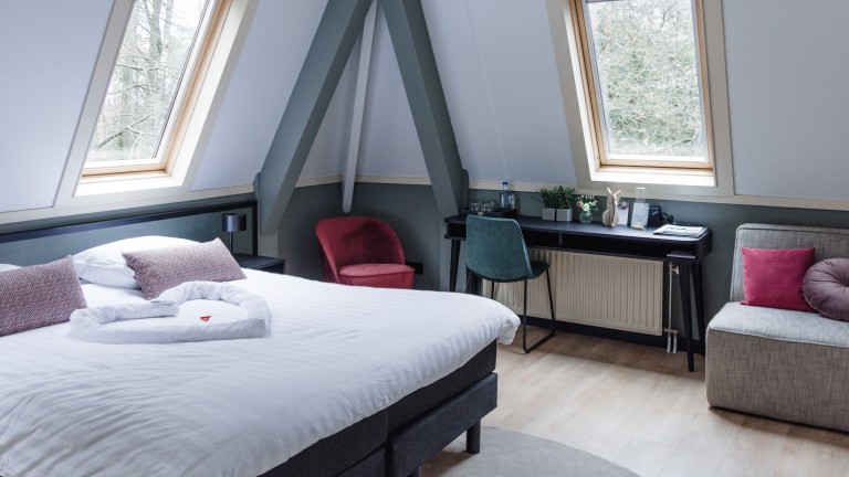 Deluxe kamer met terras - Witte Berken Natuurhotel