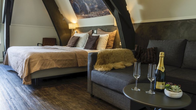 Luxe kamer - De Kastanjefabriek