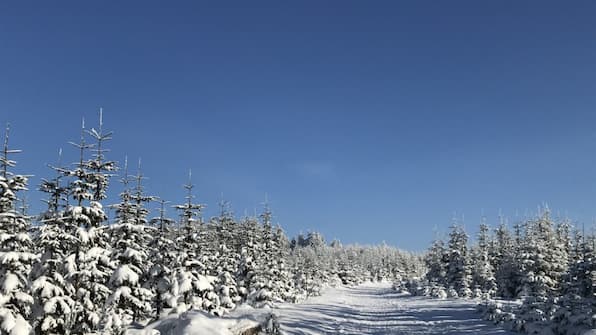 Winter - Roompot Résidence Winterberg