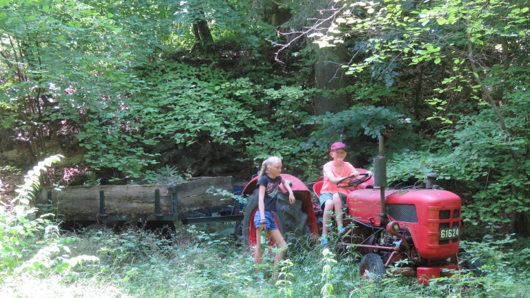 Country Camp Auf Kengert