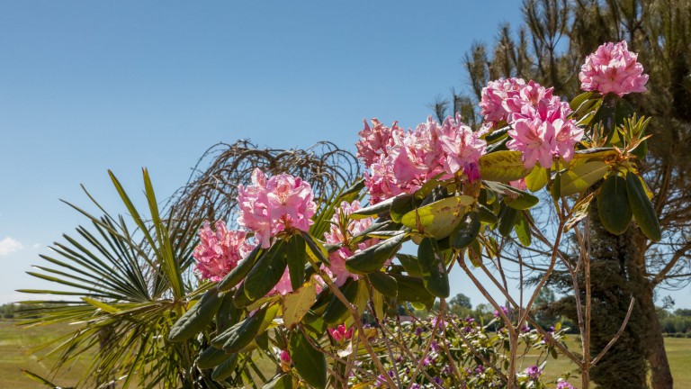 Vakantiepark Fort Den Haak