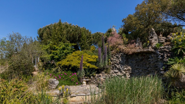 Tropischer Garten - Ferienpark Fort Den Haak
