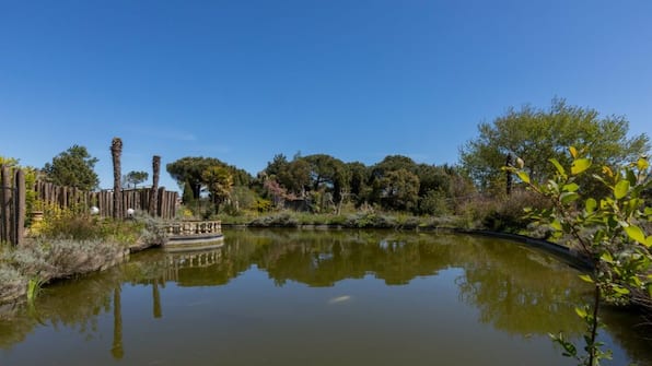 Tropische tuin - Vakantiepark Fort Den Haak