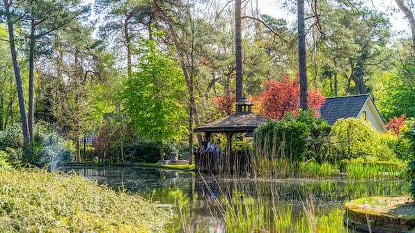 EuroParcs Beekbergen EuroParcs Beekbergen
