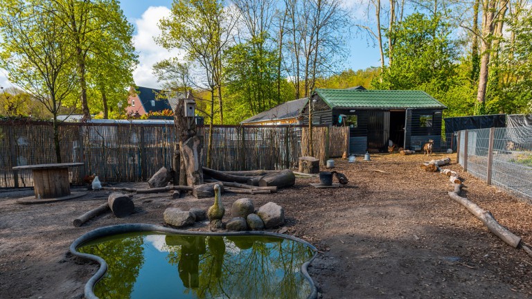 Viehweide - EuroParcs Spaarnwoude