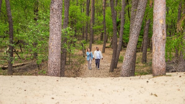 Omgeving - EuroParcs De Wije Werelt Omgeving - EuroParcs De Wije Werelt