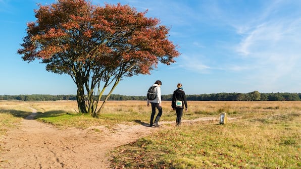 Wander - Boutique Hotel und Restaurant Die Gloepe Wander - Boutique Hotel und Restaurant Die Gloepe