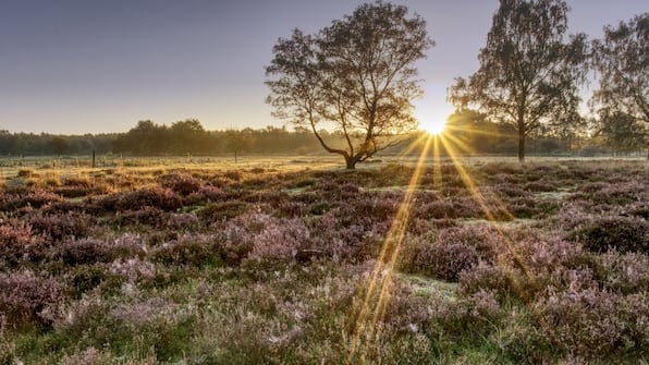 National Park der Maasduinen - Parkhotel Horst 