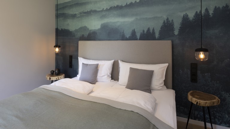 Standaardkamer - Hofgut Wissberg - das Weinberghotel