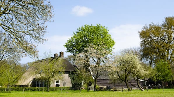 Orvelte - Hotel Eeserhof