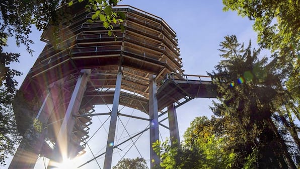 Boomtopwandeling Saarschleife - Vis Saar Vie