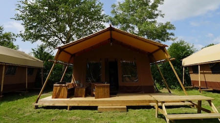 Außenansicht - EuroParcs Molengroet
