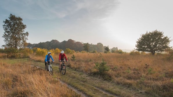 Omgeving - Landal Sallandse Heuvelrug