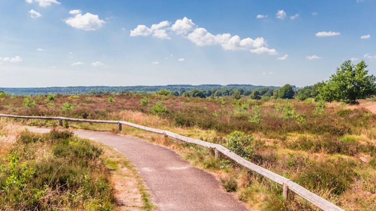 Omgeving - Landal Sallandse Heuvelrug