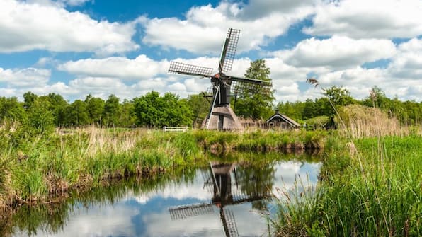 Omgeving - Landal Sallandse Heuvelrug