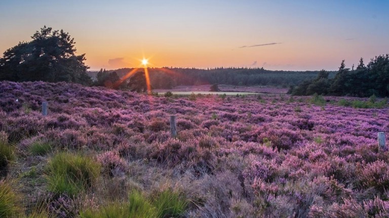 Omgeving - Landal Sallandse Heuvelrug