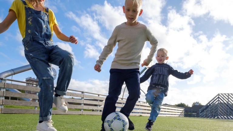 Sportveld - Landal Sallandse Heuvelrug