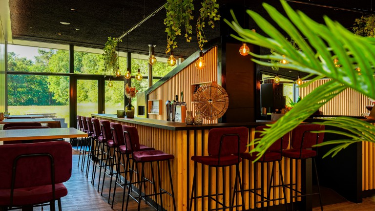 Bar - Hampshire Boshotel Overberg