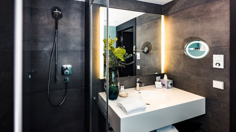 Executive kamer - Hotel Blaue Reiter