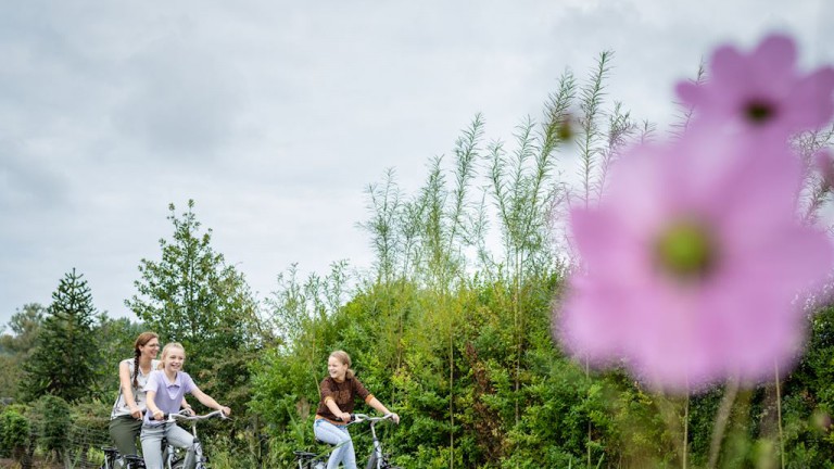 Omgeving - Landal Waterpark De Alde Feanen