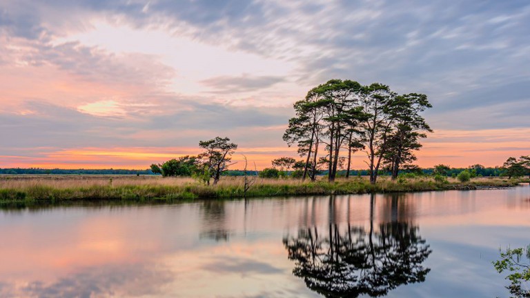 Omgeving - Landal Drentse Lagune