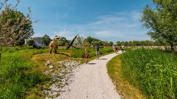 Omgeving - EuroParcs Poort van Zeeland Omgeving - EuroParcs Poort van Zeeland