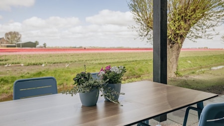 Ansicht - Roompot Park Wijdenes